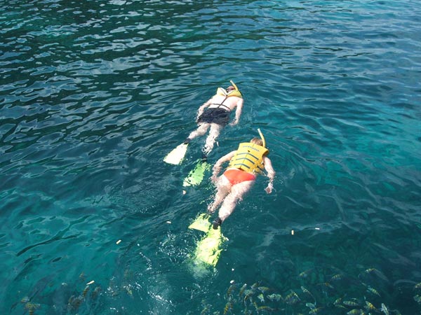 Snorkeling in Grenada's Marine Park